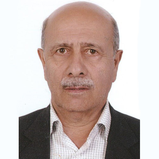 محمدابراهیم ایلکا